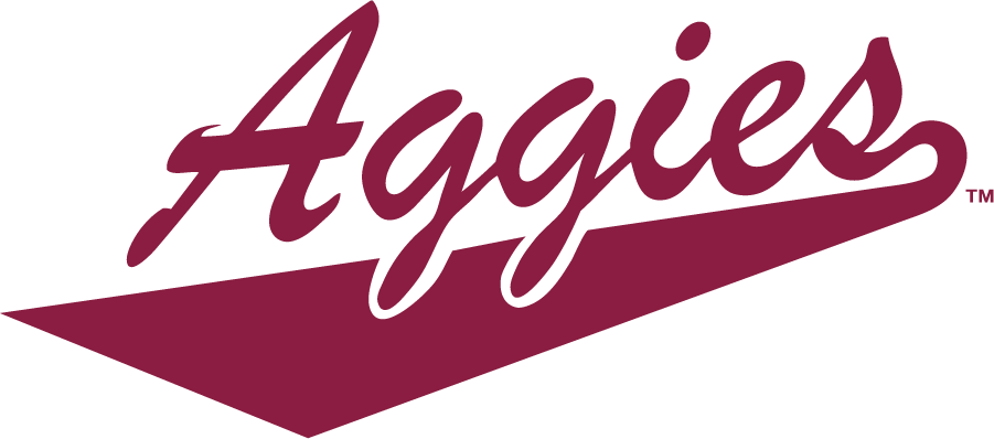 New Mexico State Aggies 2005-2008 Wordmark Logo diy iron on heat transfer